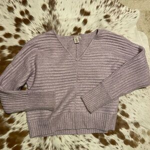 Sincerely Jules Lilac V-Neck Ribbed Sweater